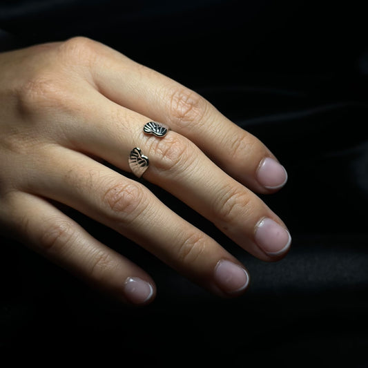 Anillo alas pequeñas.plata